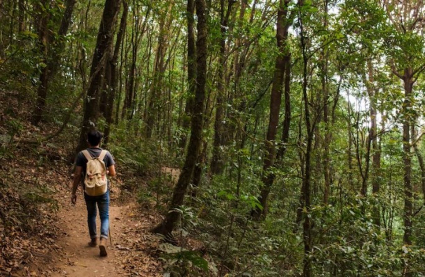 Çoklu zeka kuramına göre bu 9 farklı zeka türünden siz hangisisiniz?