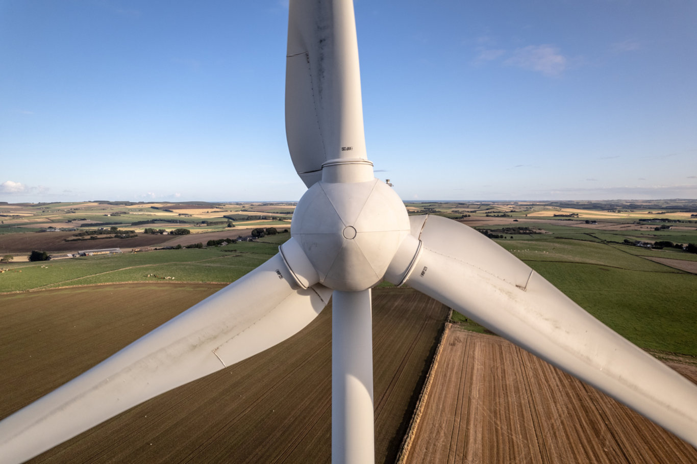 Bu fotoğraflar sizi korkutuyorsa megalofobiniz olabilir! Megalofobi nasıl anlaşılır?