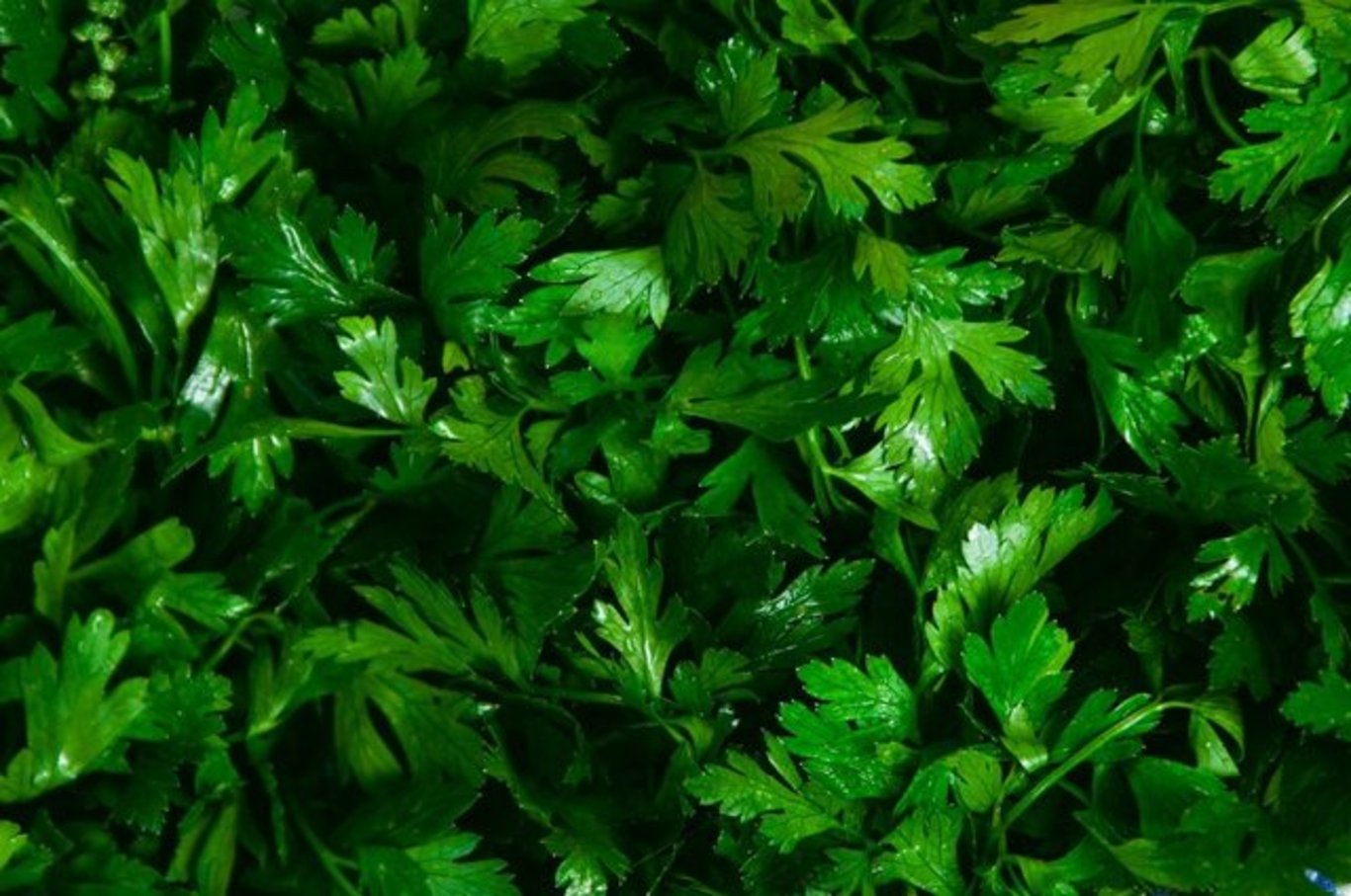 Güneş dışında D vitamini alabileceğiniz 18 besin! Hangi yiyeceklerde D vitamini bulunur?