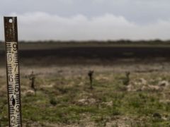 İspanya’dan kuraklıkla mücadele adımı