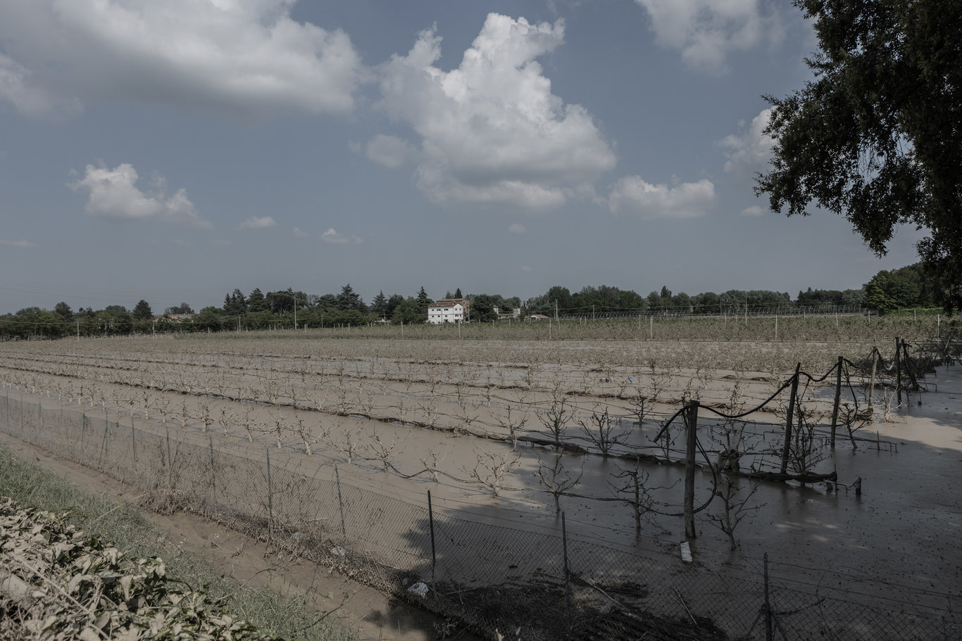 Son dakika: En az 14 kişi hayatını kaybetti: İtalya'da sel nedeniyle verilen 