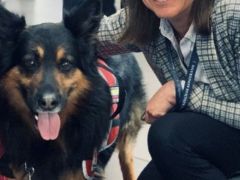 Kahraman “Aaron” hayatını kaybetti