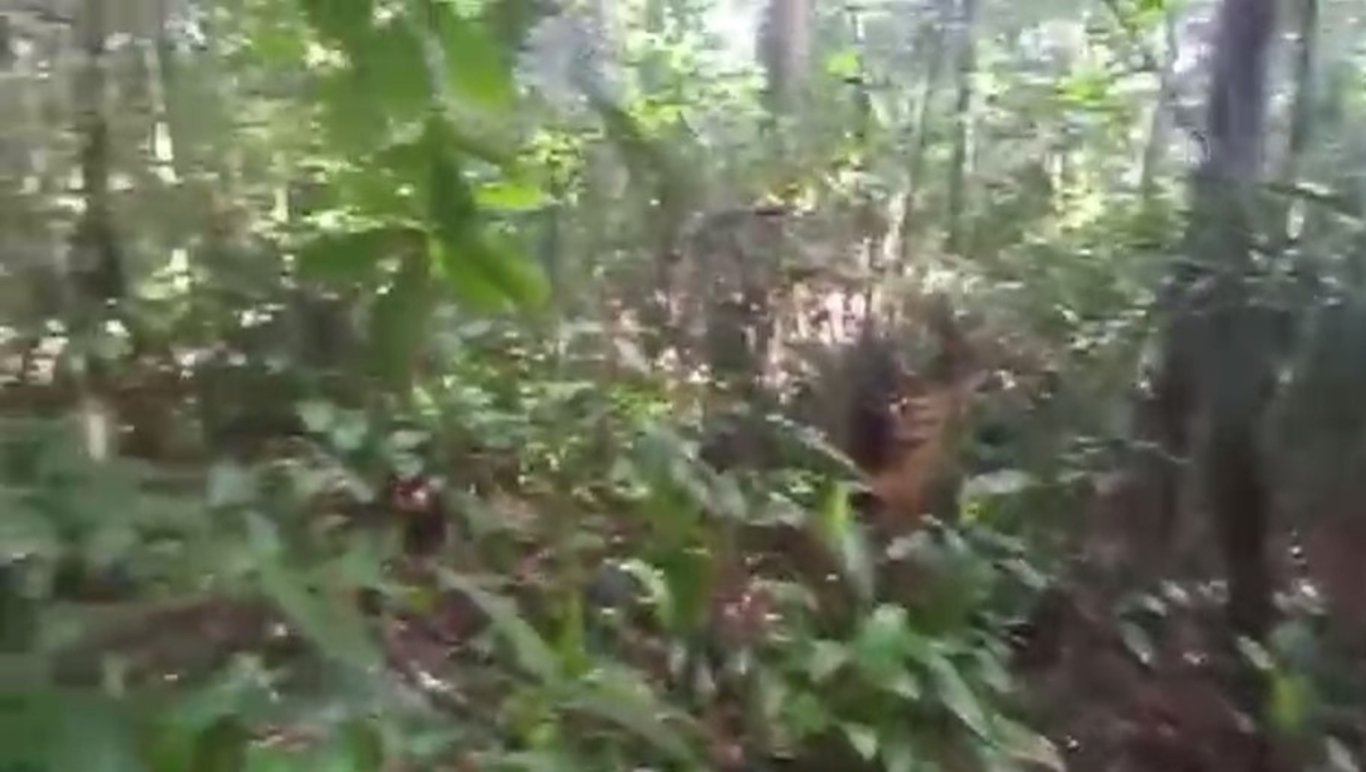 Kolombiya'da 16 gün önce kaybolan uçağın enkazı bulundu