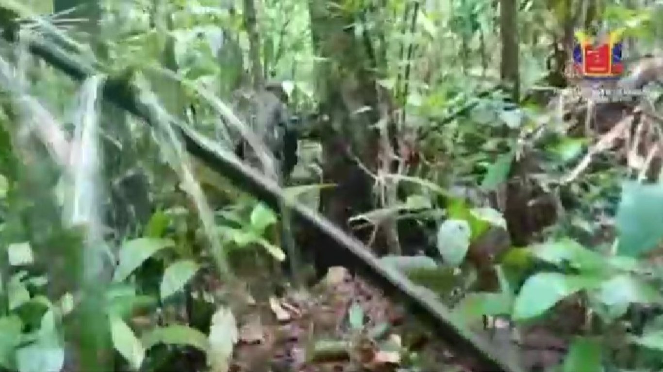 Kolombiya'da 16 gün önce kaybolan uçağın enkazı bulundu