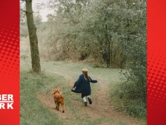 Köpeğinizin sizi takip etmesinin 3 sebebi