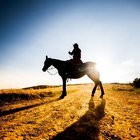 14 YAŞINDA BABASINA İSYAN EDİNCE KÖR EDİLEN ŞEHZADE