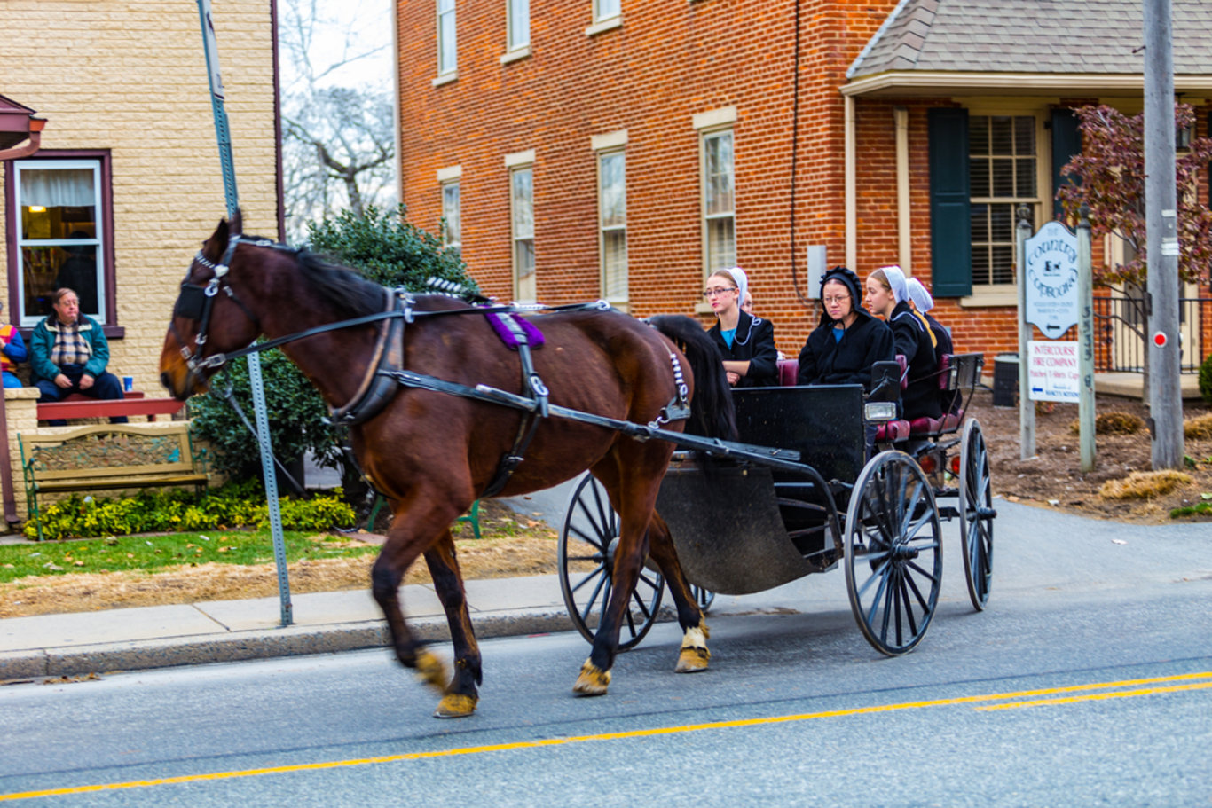21. yüzyılda teknolojiyi reddederek yaşayan toplum: Amişler! Amişler topluluğu kimdir ve evlilikleri nasıldır?