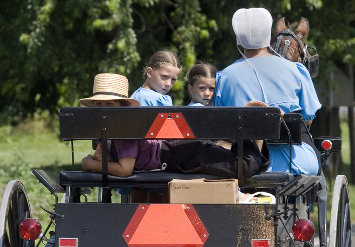 21. yüzyılda teknolojiyi reddederek yaşayan toplum: Amişler! Amişler topluluğu kimdir ve evlilikleri nasıldır?