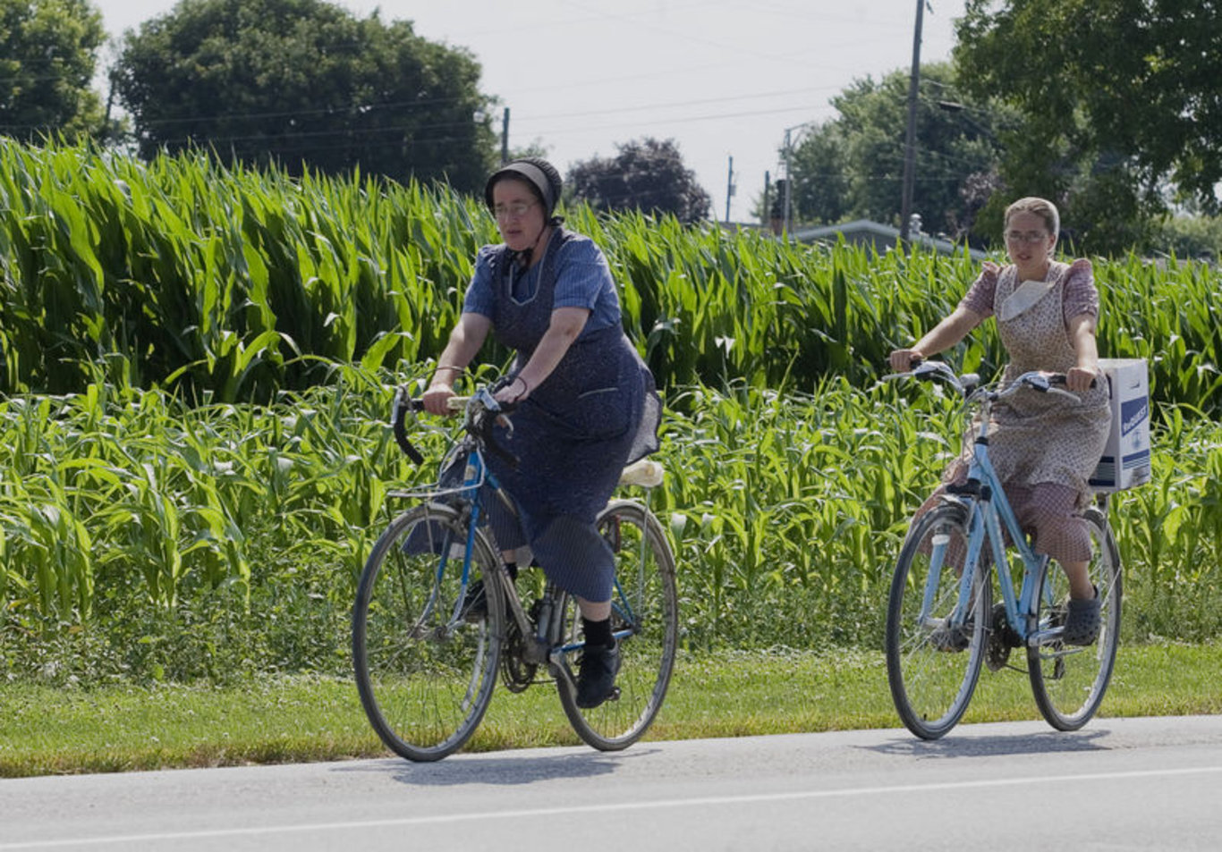 21. yüzyılda teknolojiyi reddederek yaşayan toplum: Amişler! Amişler topluluğu kimdir ve evlilikleri nasıldır?