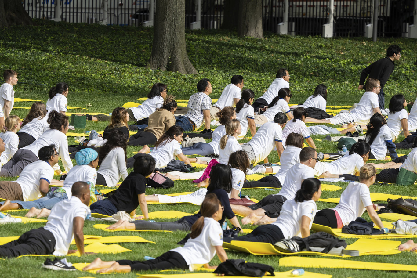 72 yaşındaki Hindistan Başbakanı Modi, New York'ta yoga etkinliğine katıldı