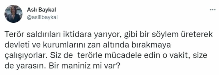 Aslı Baykal, terör saldırısına ilişkin muhalefeti eleştirdi