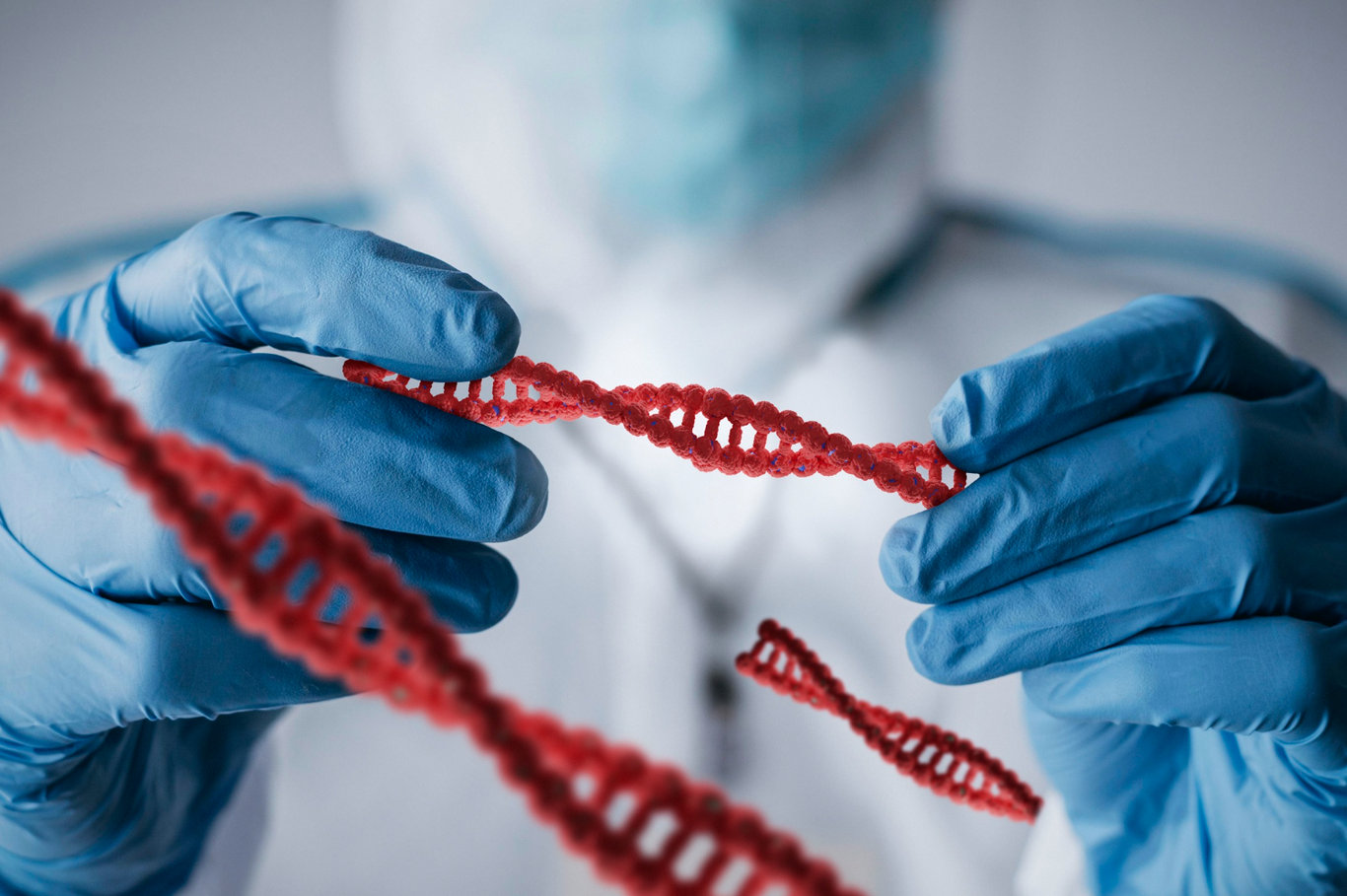 İnsan DNA'sının benzerlik gösterdiği canlılar! İnsan DNA'sına yakın olan hayvanlar hangileridir?