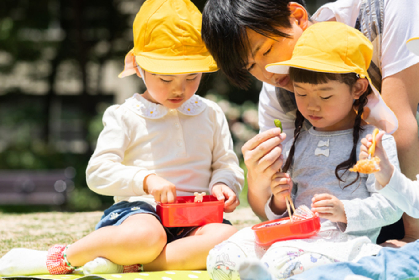 Japonya'daki küçük çocuklar neden sarı şapka takar?