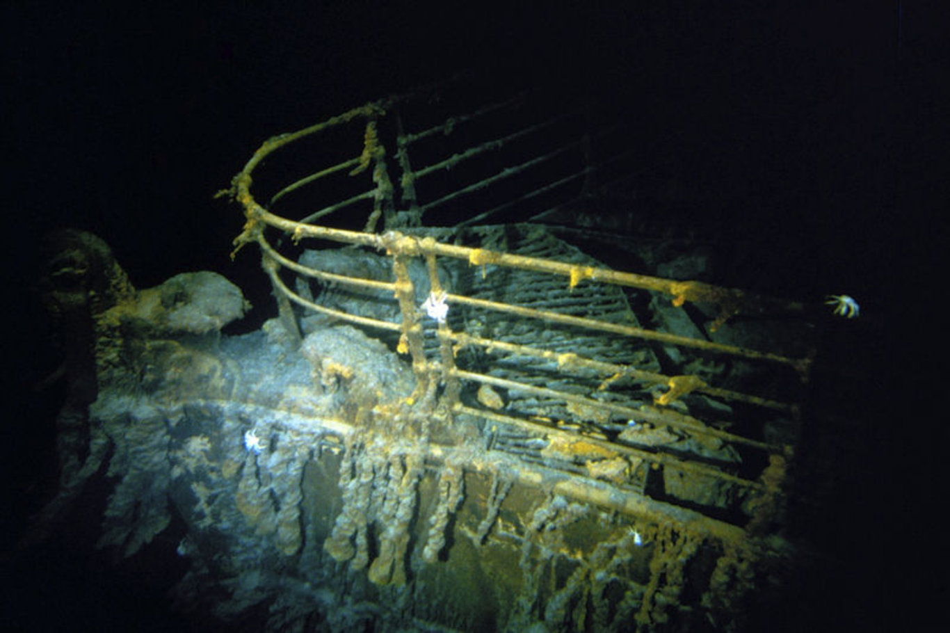 Kayıp Titanic denizaltısında trajik detay: Yolculardan biri...