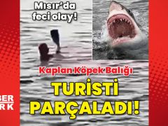 Mısır’da feci olay! Köpek balığı turisti parçaladı!