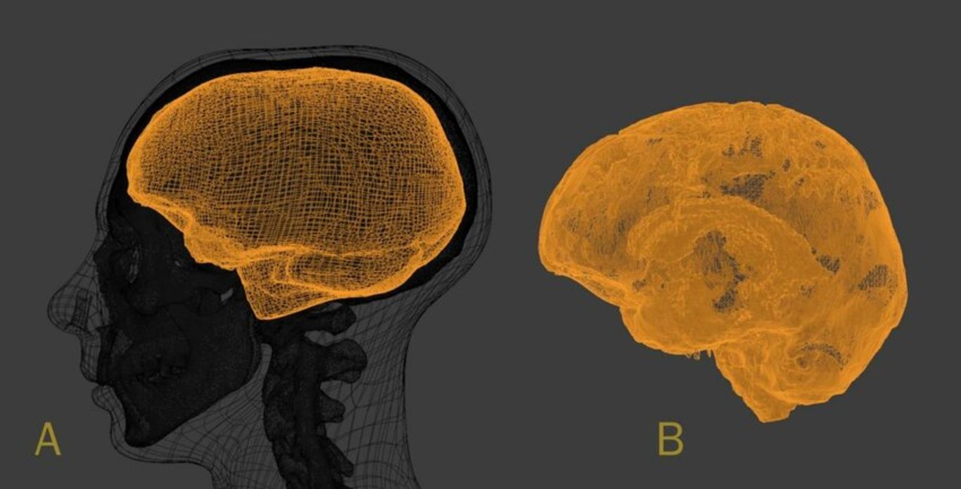 Araştırmacılar, Mısır firavunu Tutankhamun'un gerçeğe en yakın halini 3D olarak tasvir etti