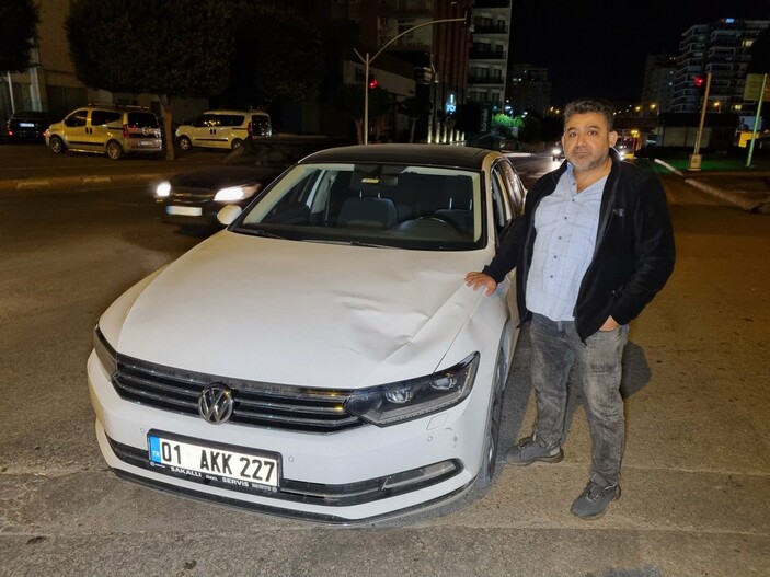 Adana'da başıboş at, otomobile çarptı