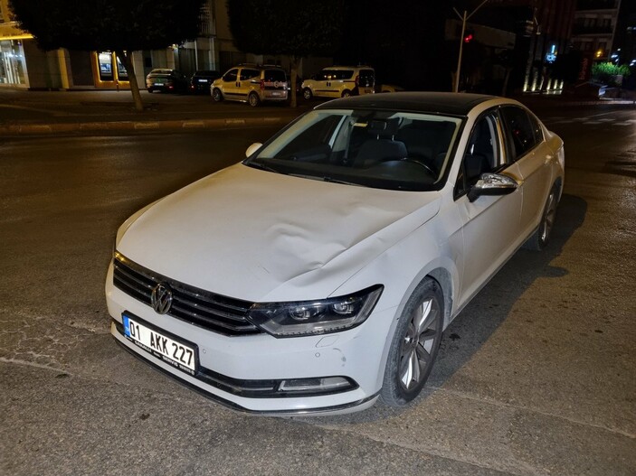 Adana'da başıboş at, otomobile çarptı