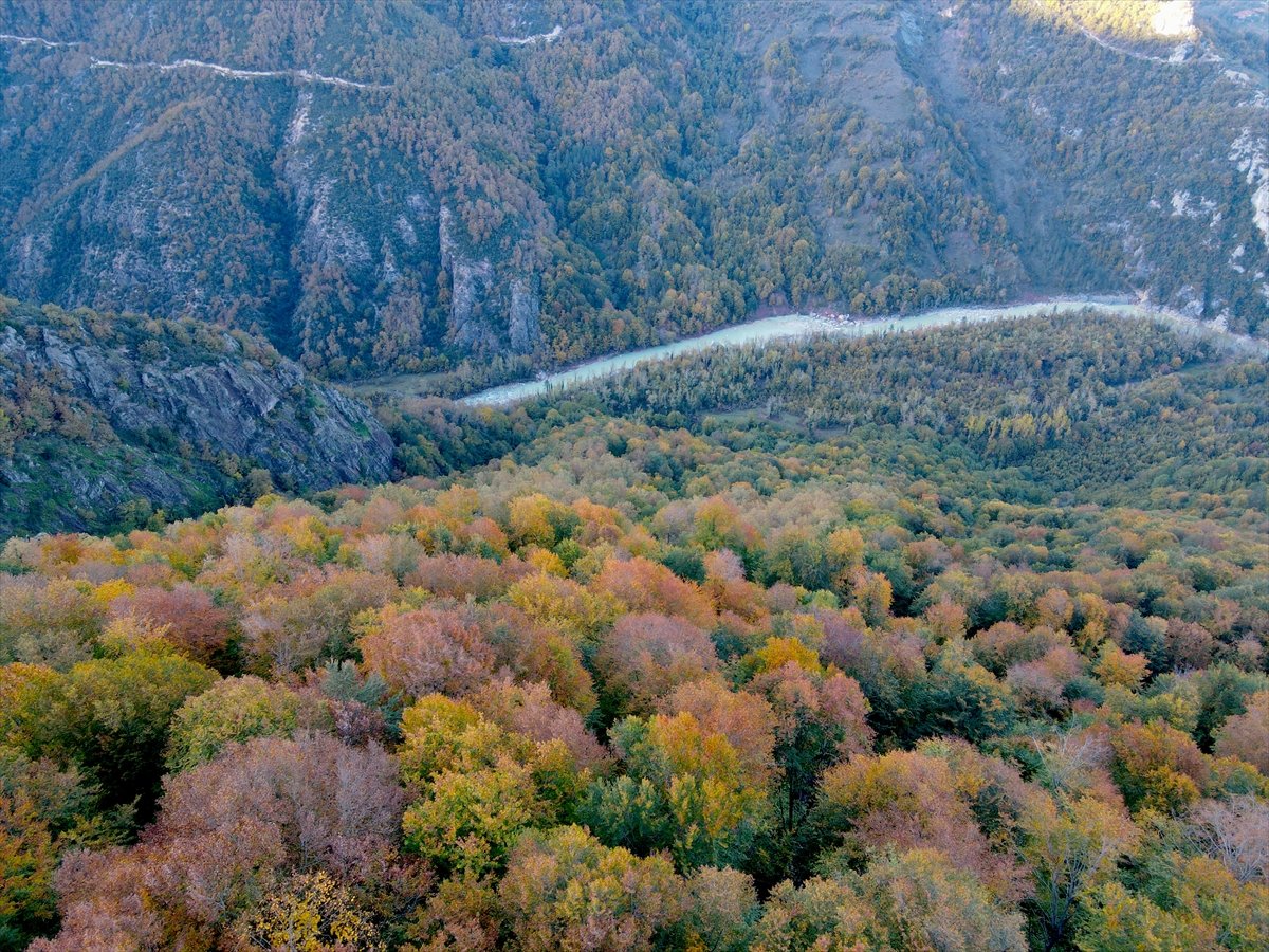 Kastamonu daki Loç Vadisi nde sonbahar şöleni #5