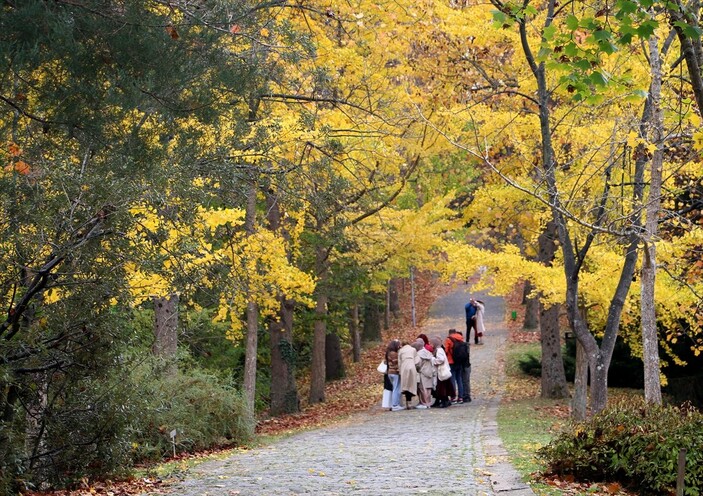 Atatürk Arboretumu sonbahar renklerine büründü