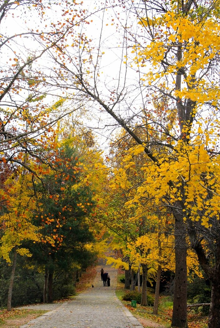 Atatürk Arboretumu sonbahar renklerine büründü