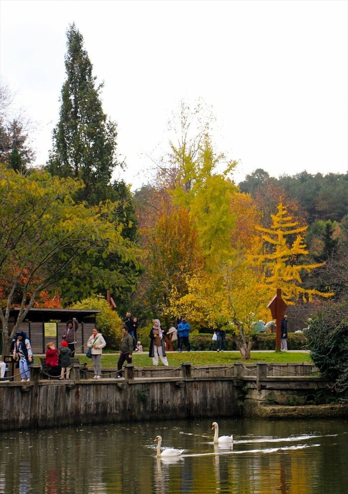 Atatürk Arboretumu sonbahar renklerine büründü