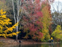 Atatürk Arboretumu sonbahar renklerine büründü