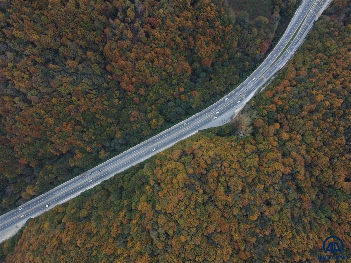 Batı Karadeniz in renkleri görsel şölen sundu #3