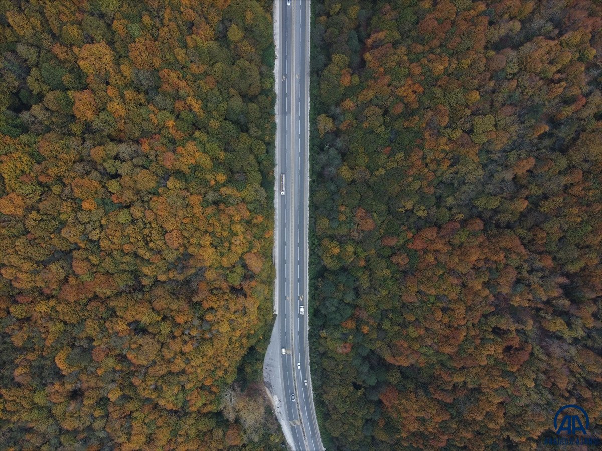 Batı Karadeniz in renkleri görsel şölen sundu #4