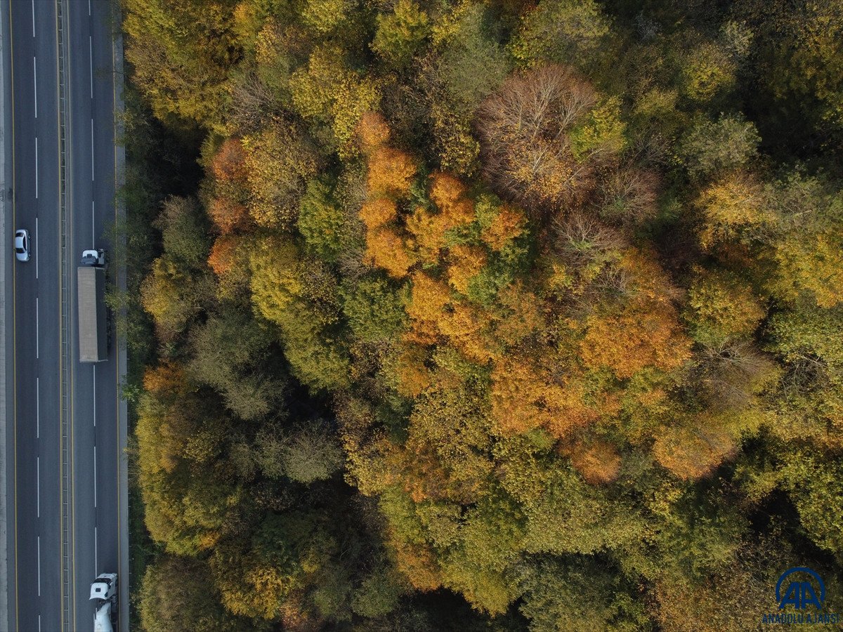 Batı Karadeniz in renkleri görsel şölen sundu #7