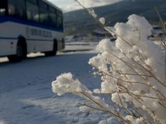 Kars’ta kar yağışı başladı