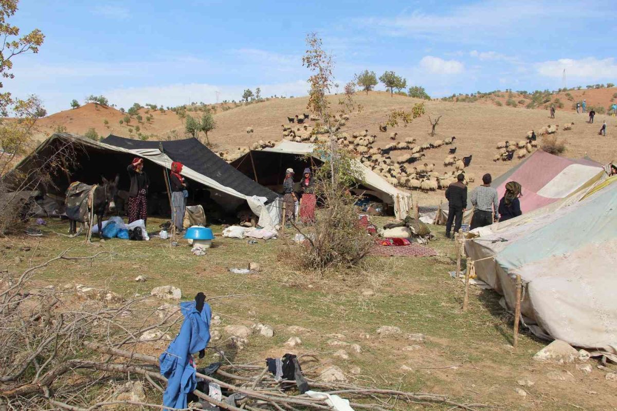 Siirt ten Aysun Kayacı’ya gönderme: Çobanları baş tacı yapmamız lazım #2