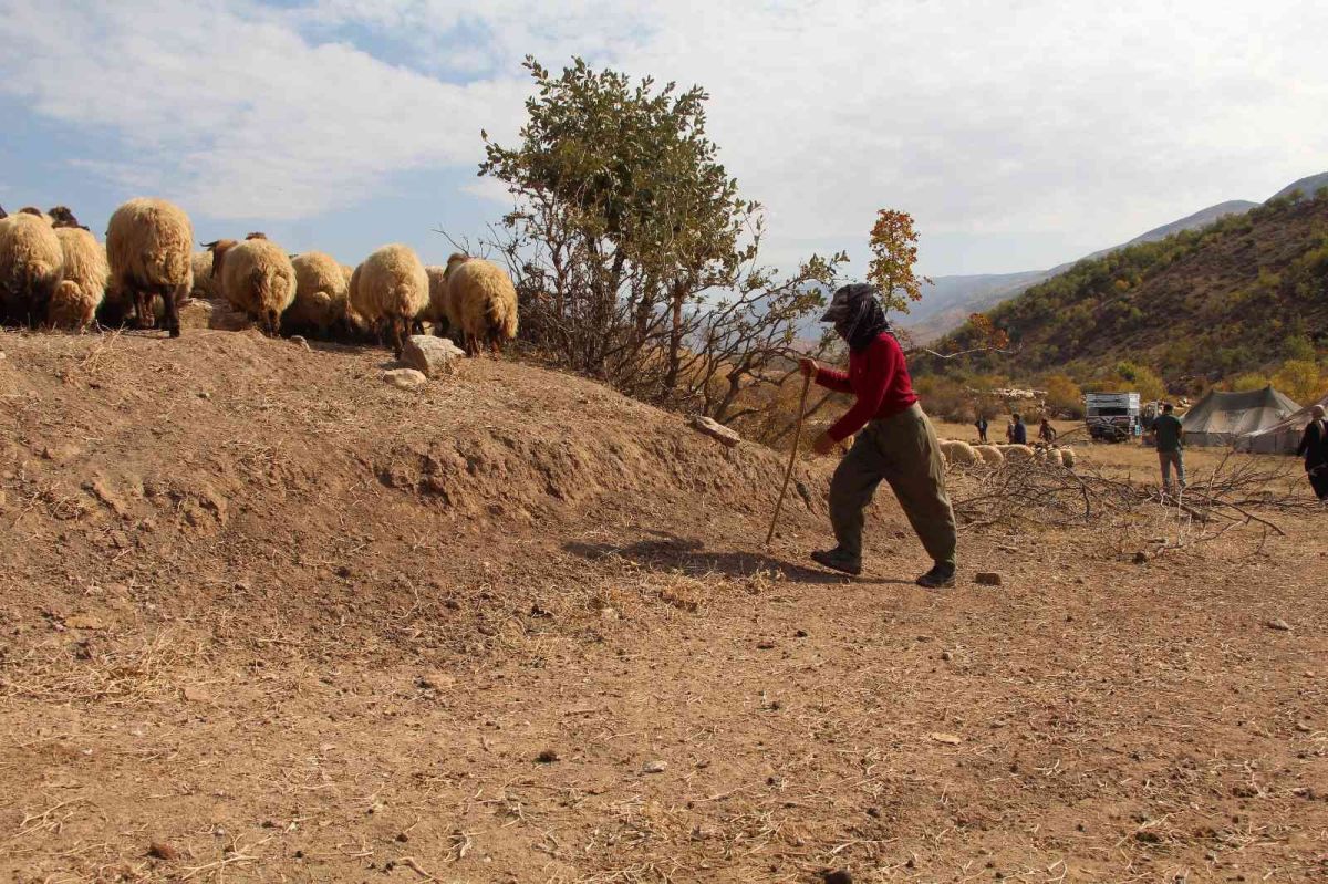 Siirt ten Aysun Kayacı’ya gönderme: Çobanları baş tacı yapmamız lazım #9