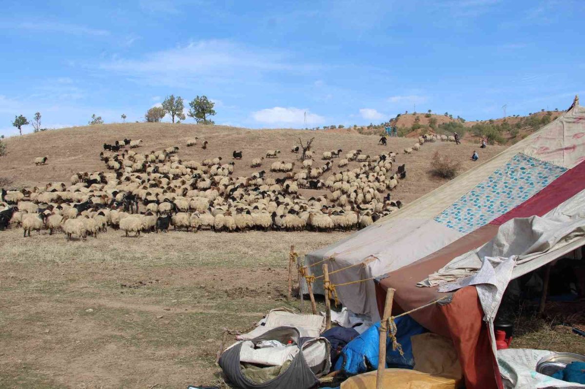 Siirt ten Aysun Kayacı’ya gönderme: Çobanları baş tacı yapmamız lazım #10