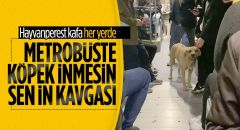 Metrobüste sokak köpeği tartışması