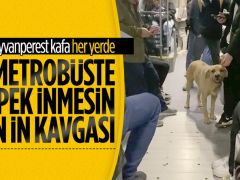 Metrobüste sokak köpeği tartışması